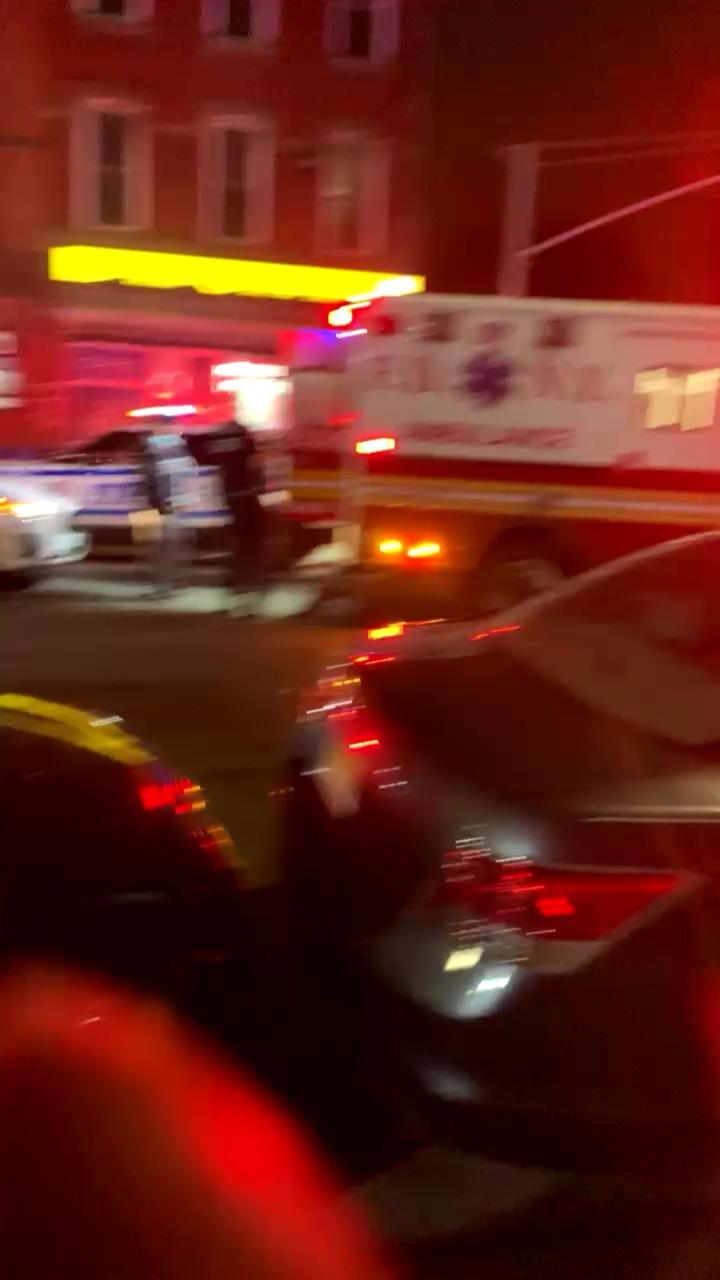 Video 7