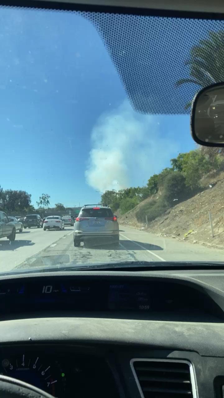 Video 8