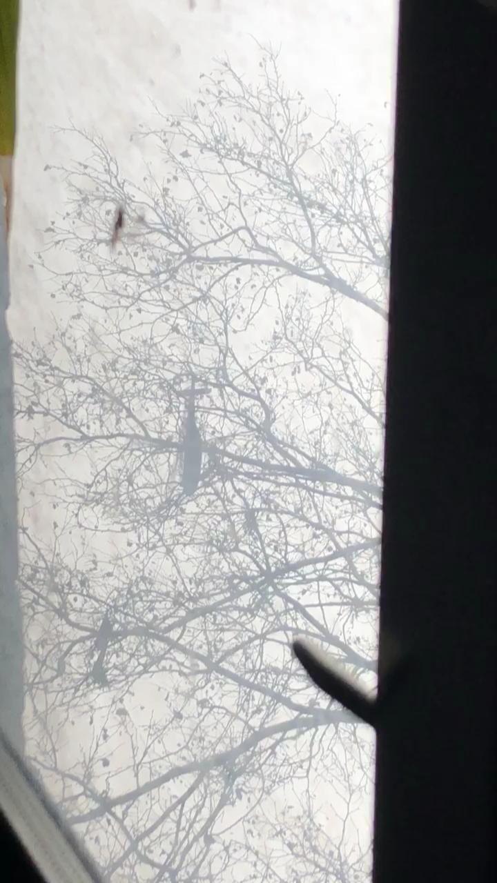 Video 3