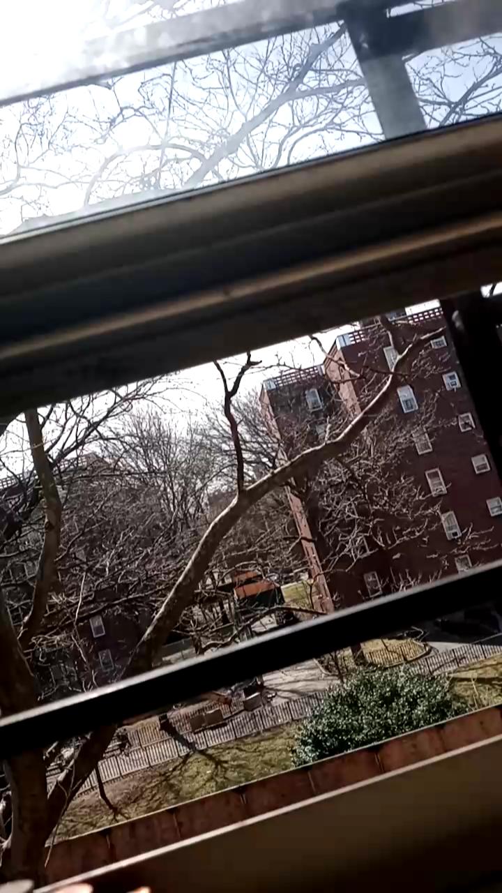 Video 3