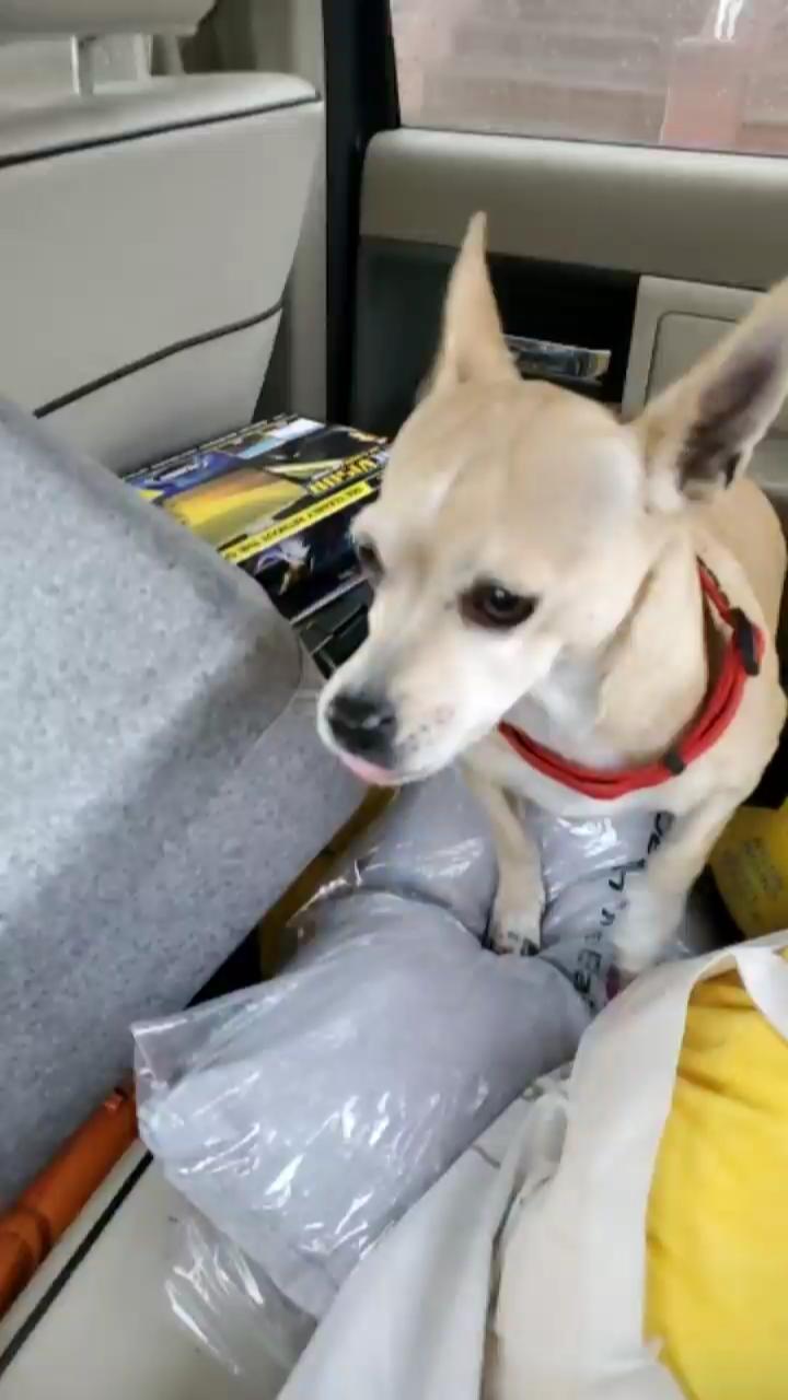 Video 2