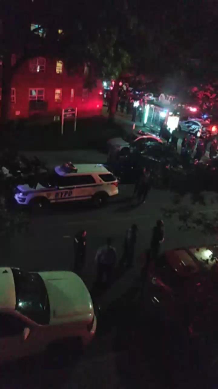 Video 11