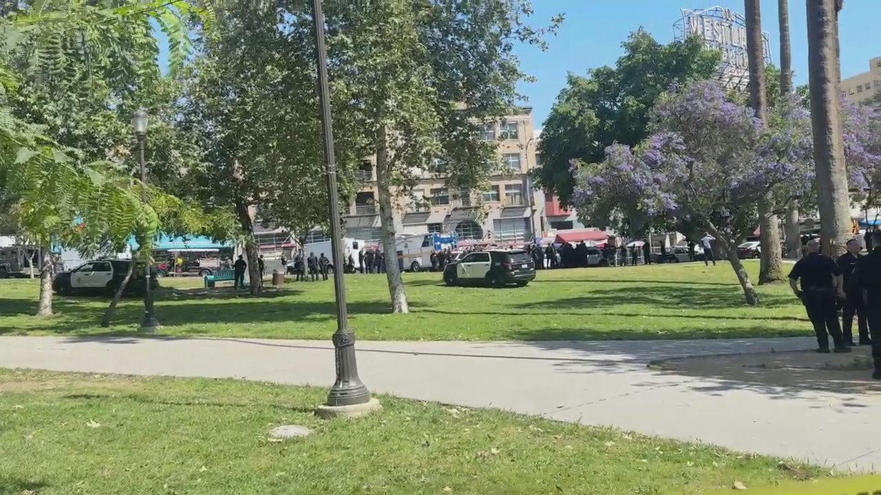 Video 29