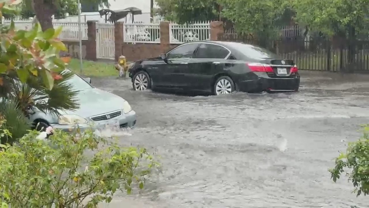 Video 1