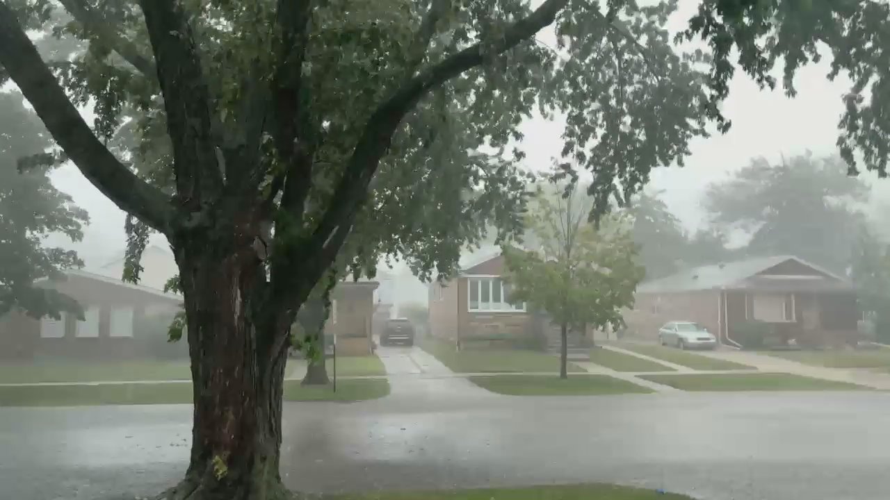 Video 111
