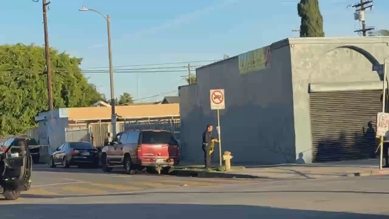 Video 5