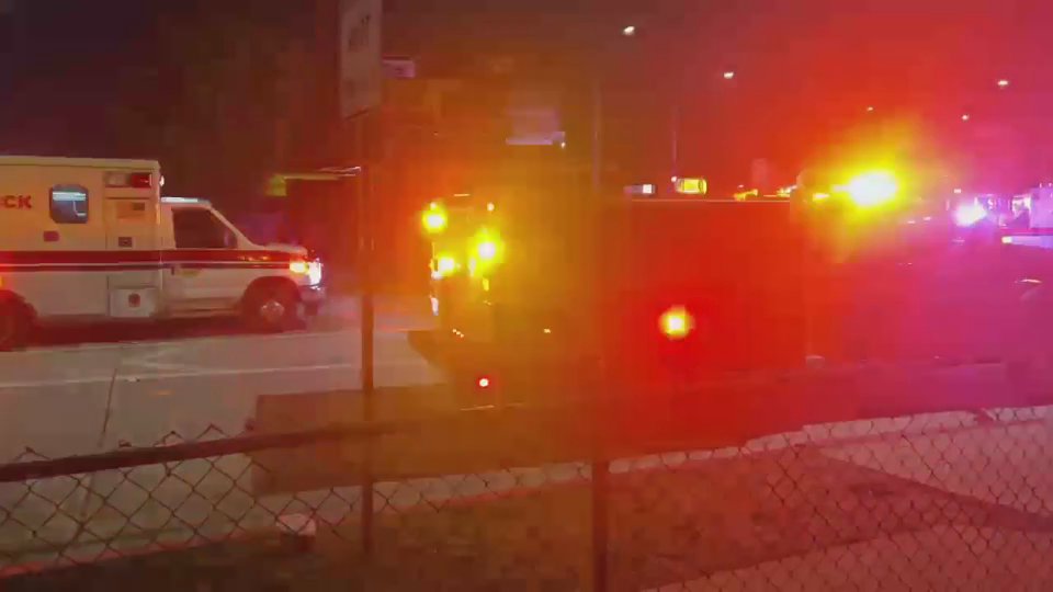 Video 7