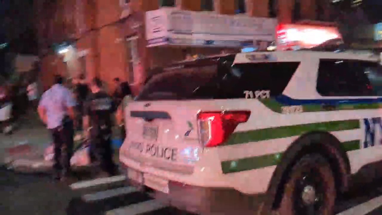 Video 5