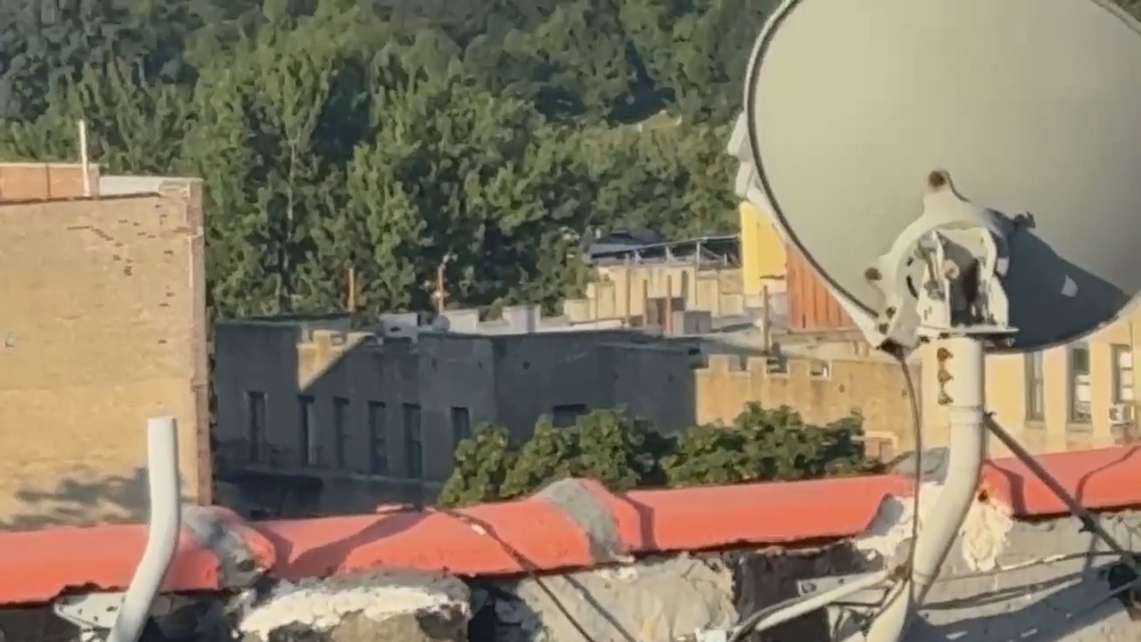 Video 10