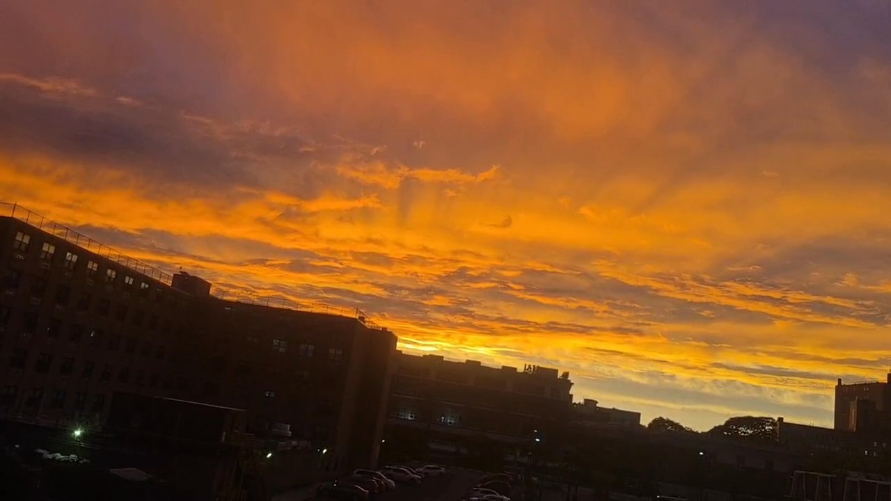 Video 262