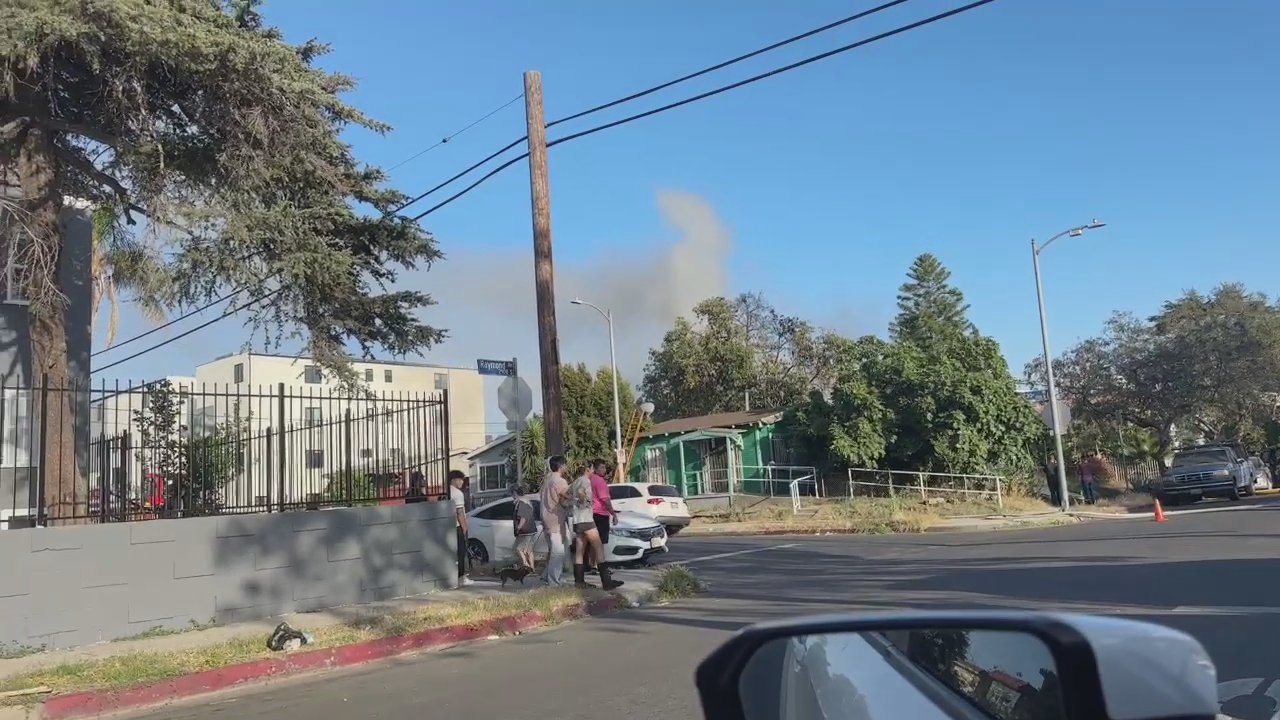 Video 4