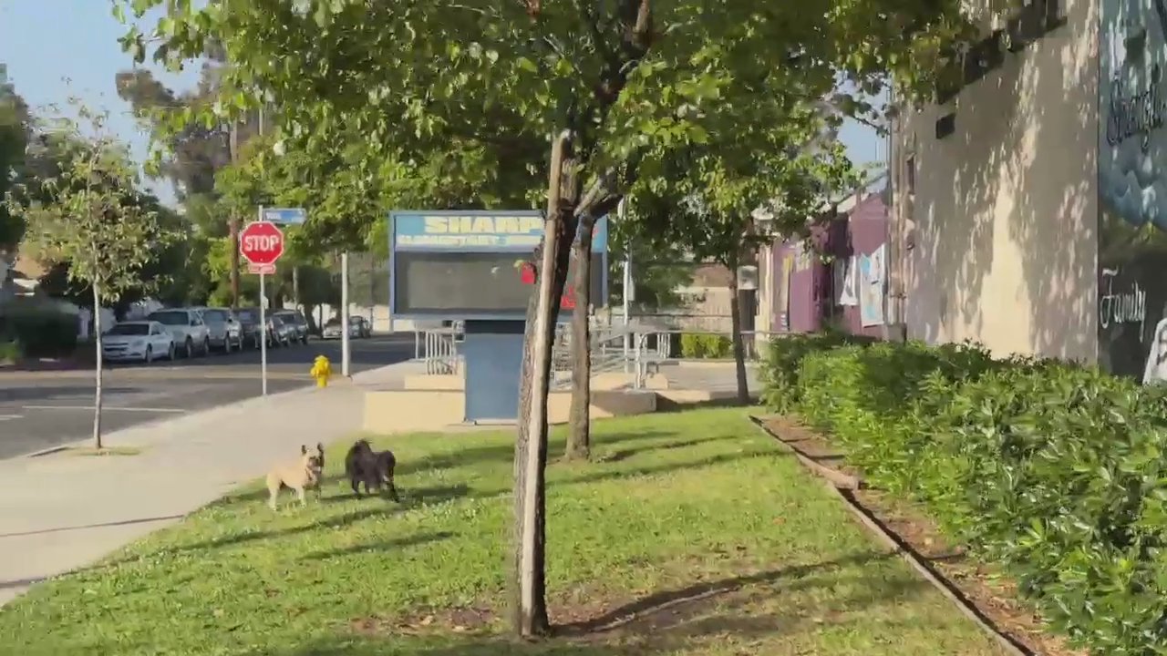 Video 2