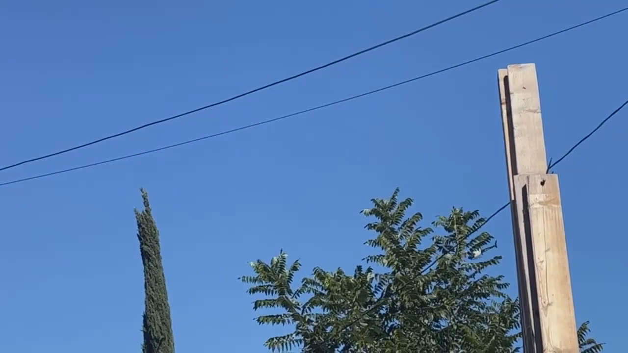Video 2