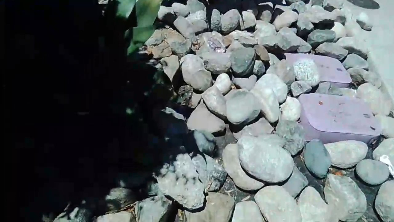 Video 2