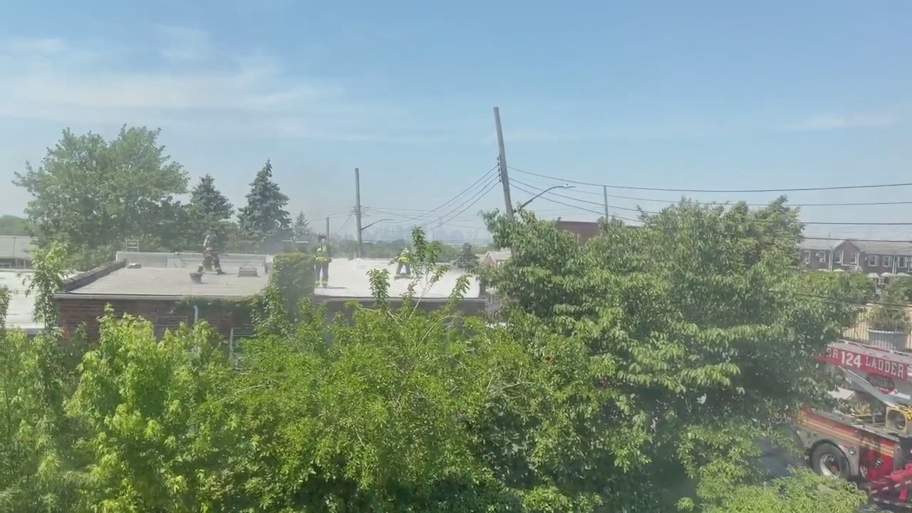Video 2
