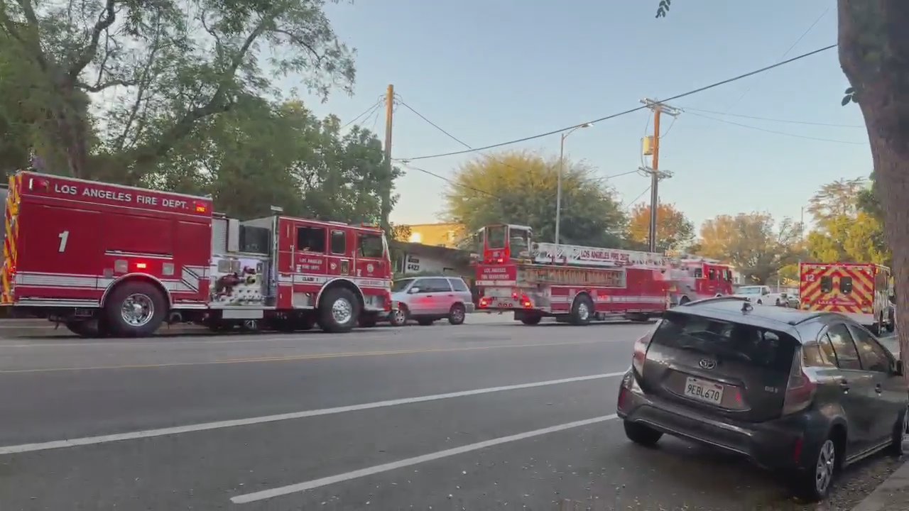 Video 1