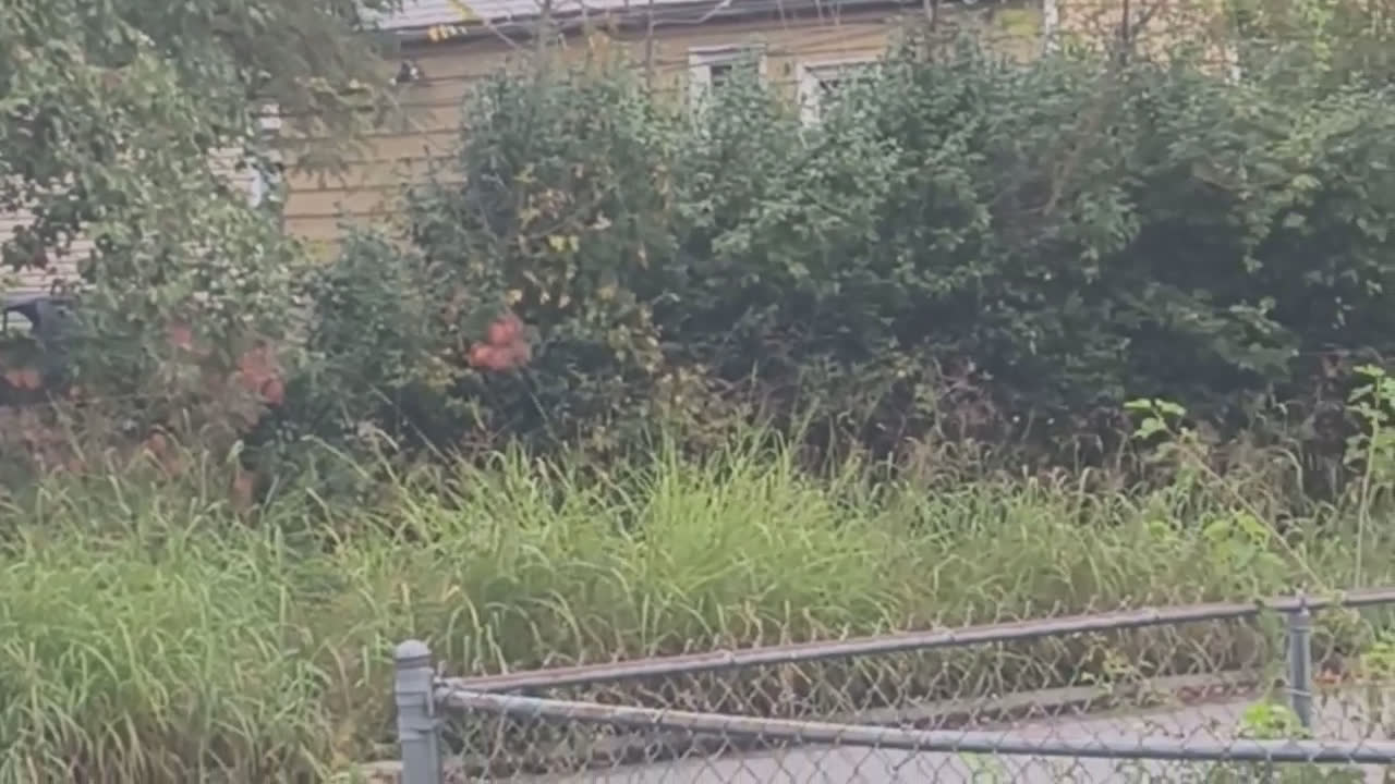 Video 12