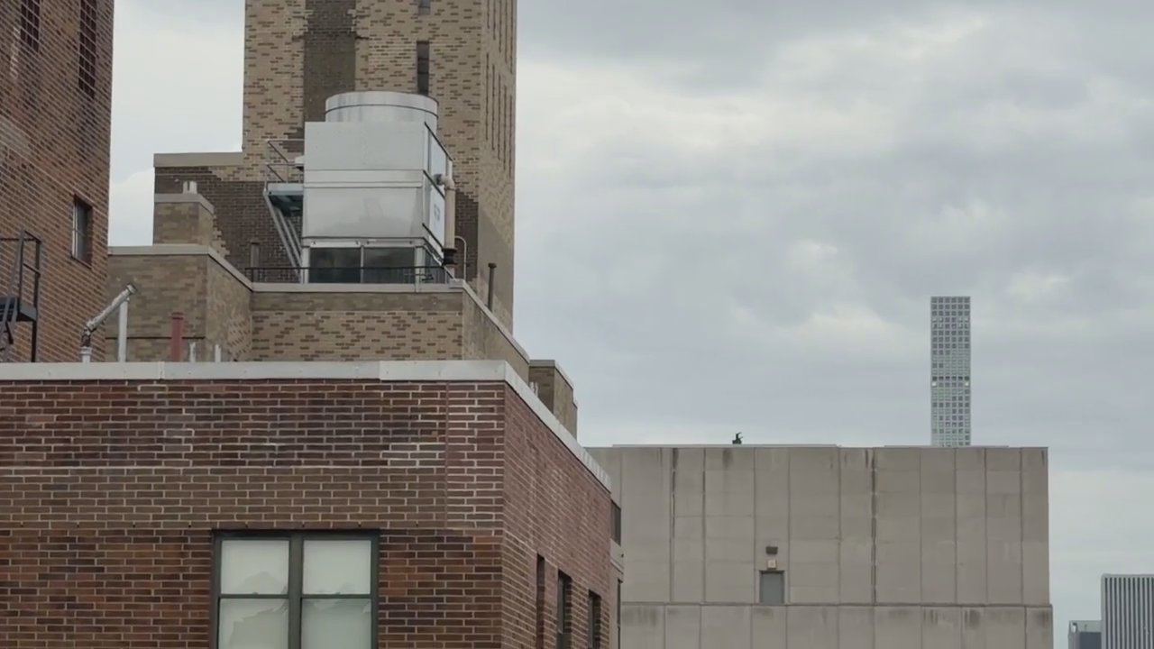 Video 7