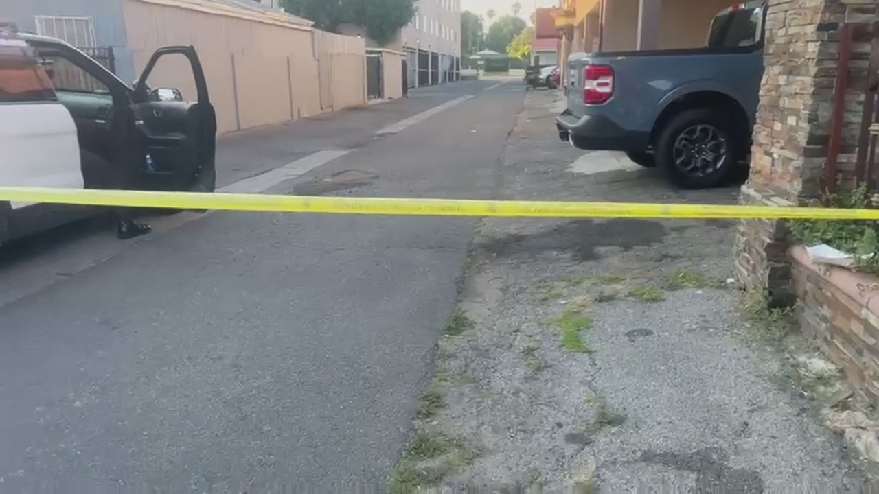 Video 6