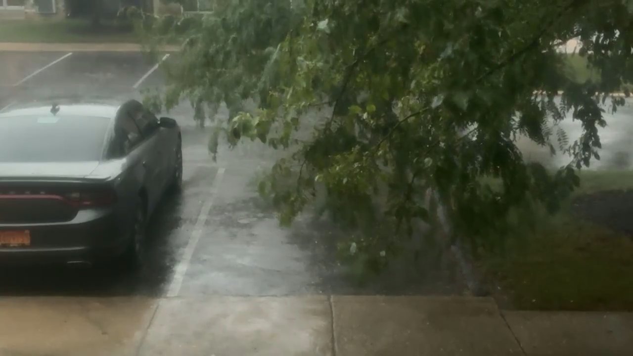 Video 8
