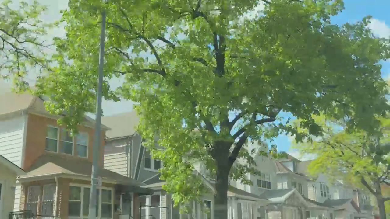 Video 34