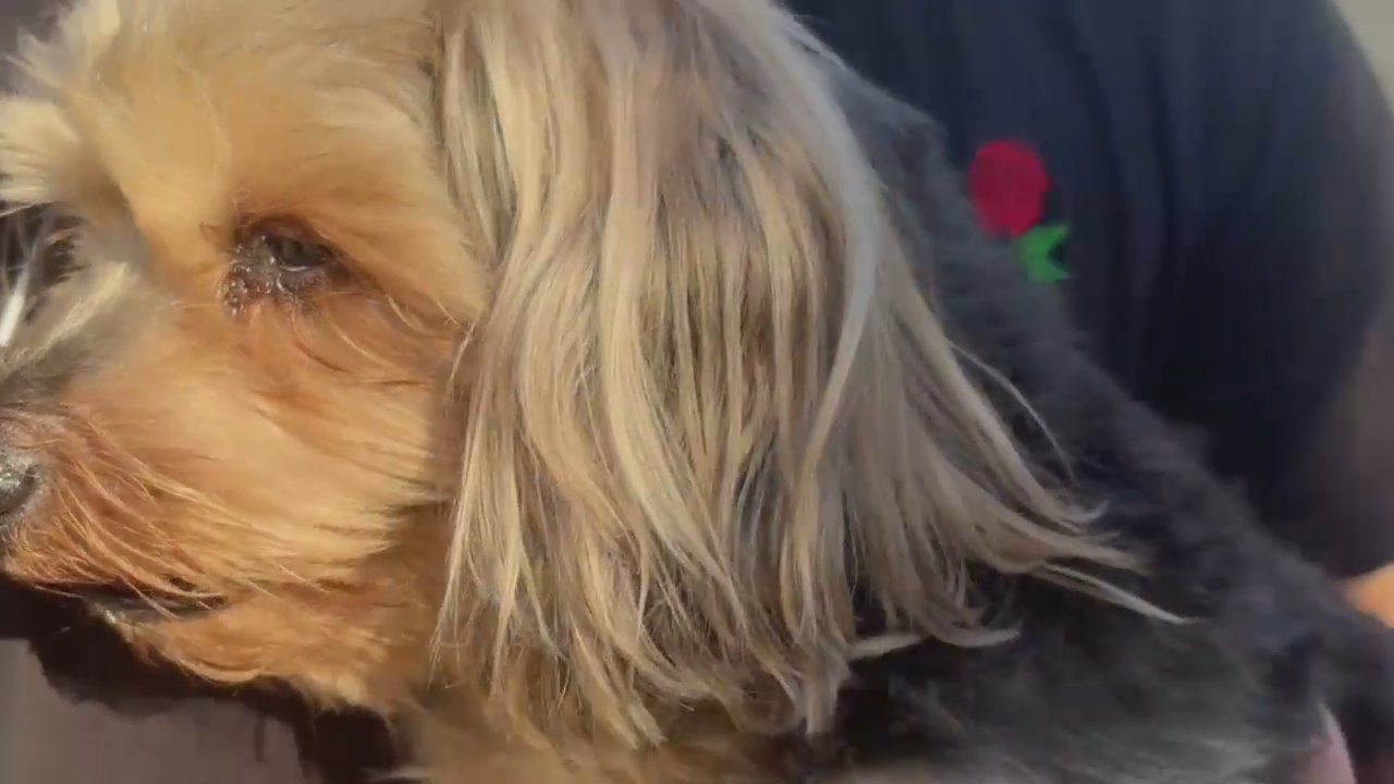 Video 2