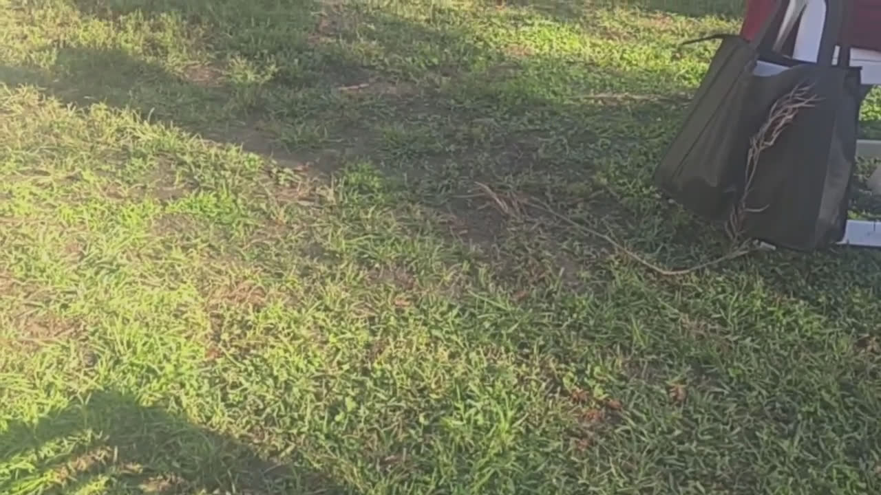 Video 2