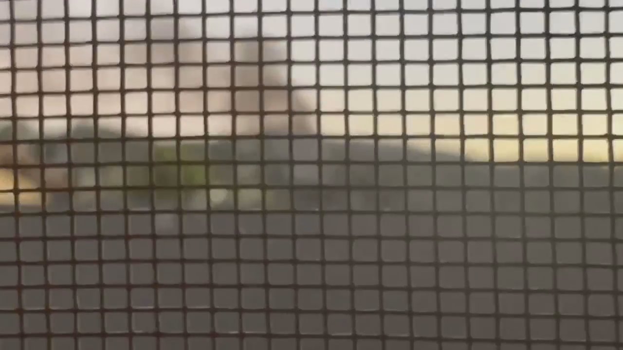 Video 2
