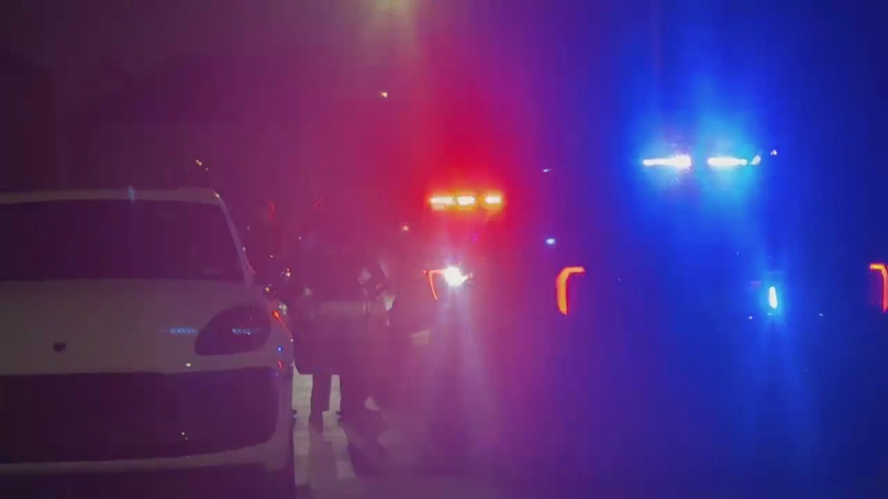 Video 2