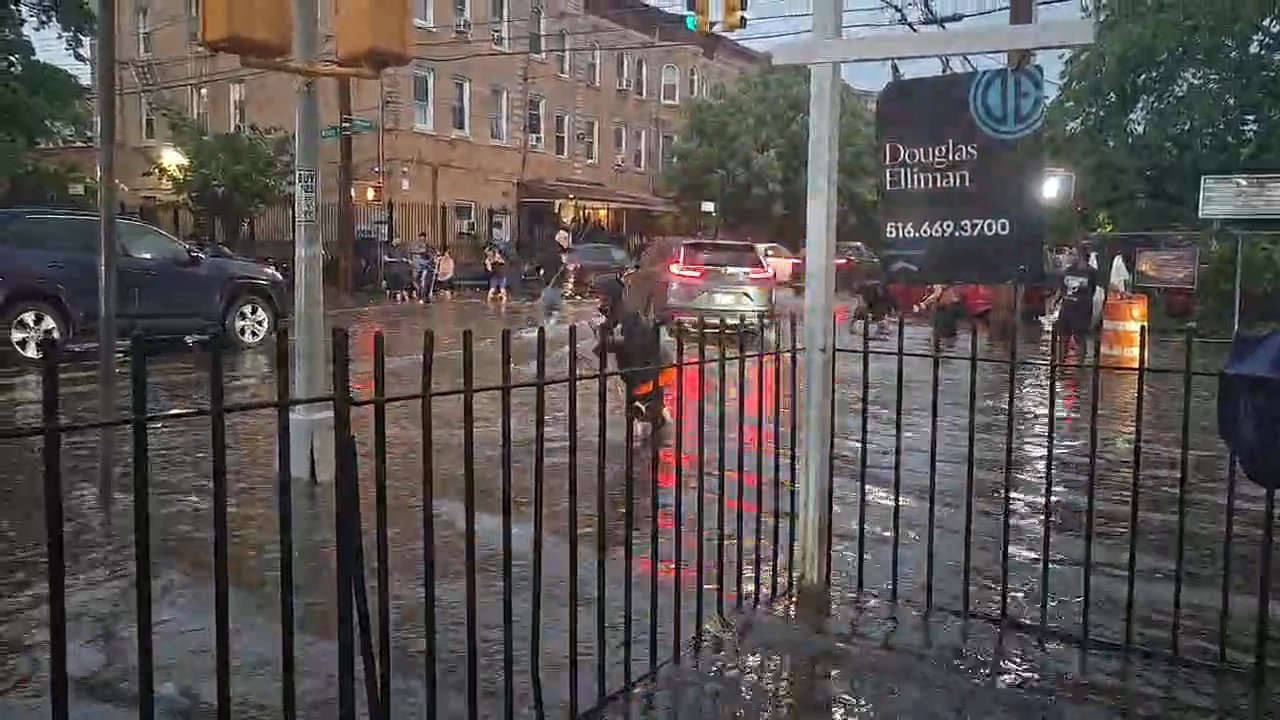 Video 4