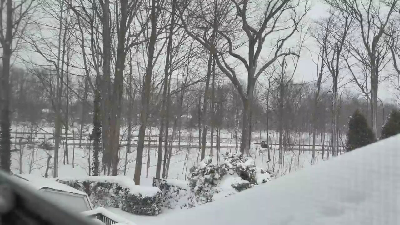 Video 84
