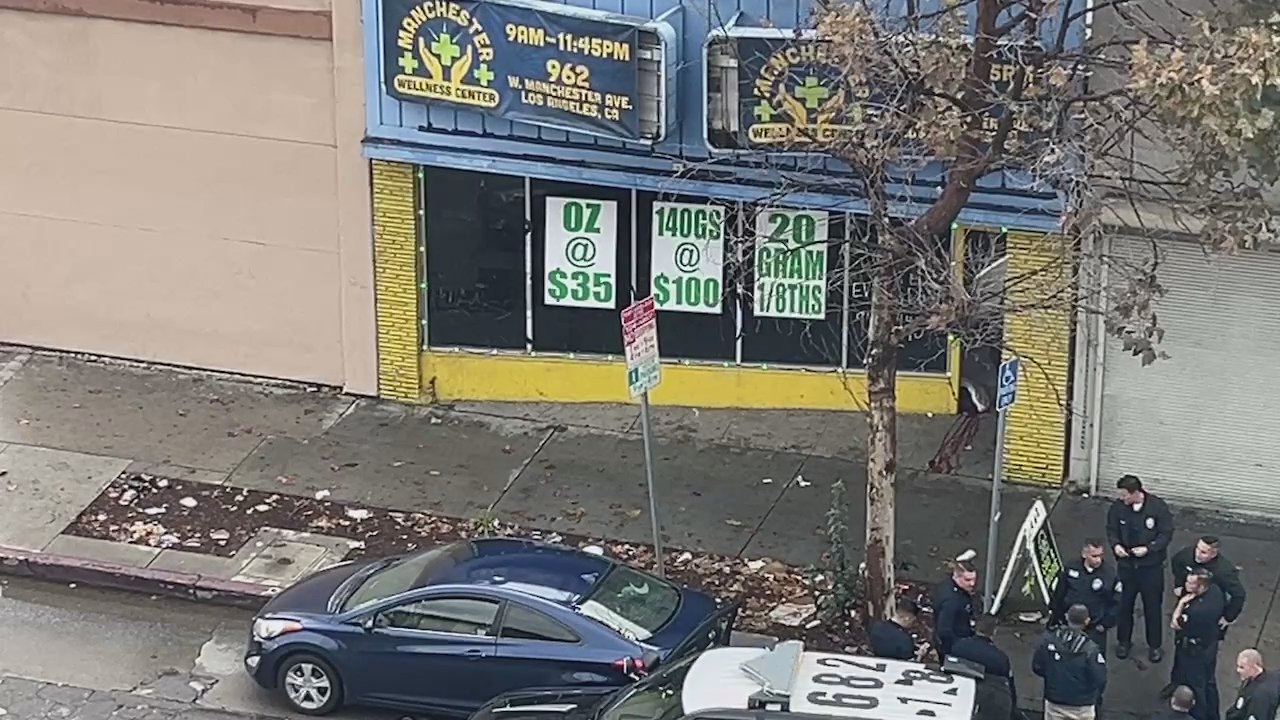 Video 12