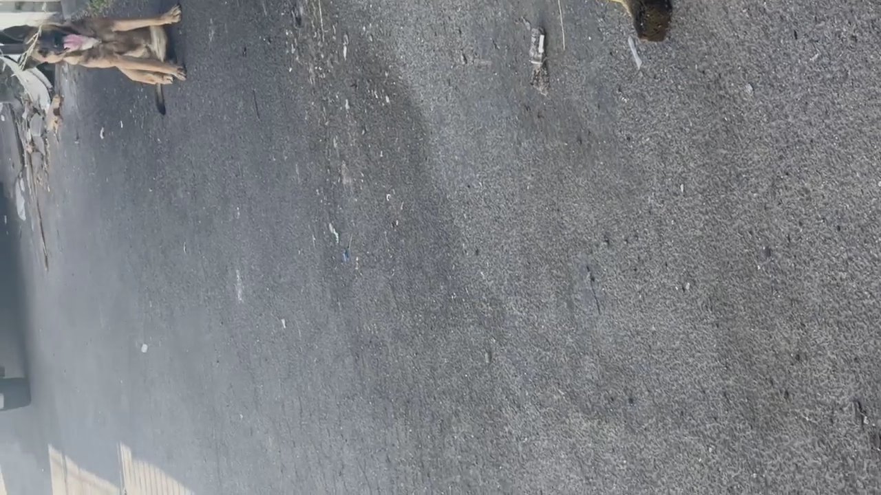 Video 2