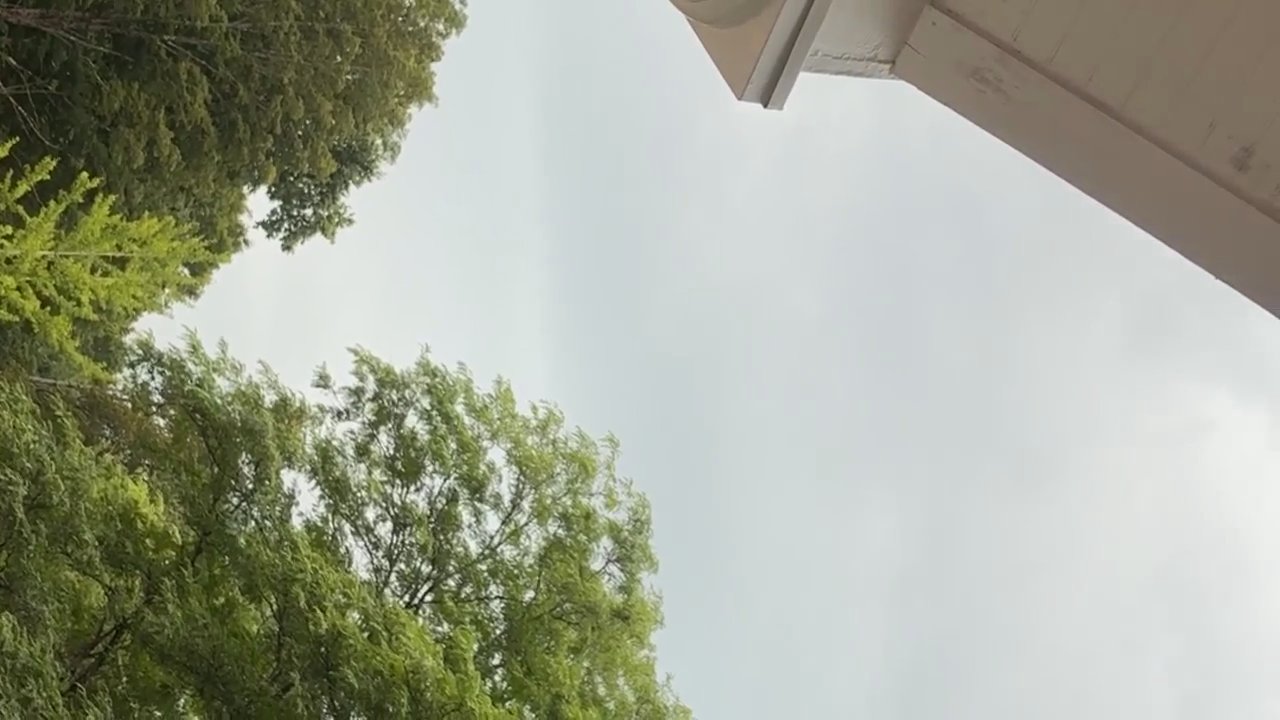 Video 3
