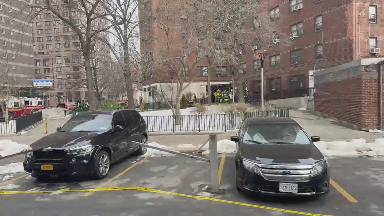 Video 5