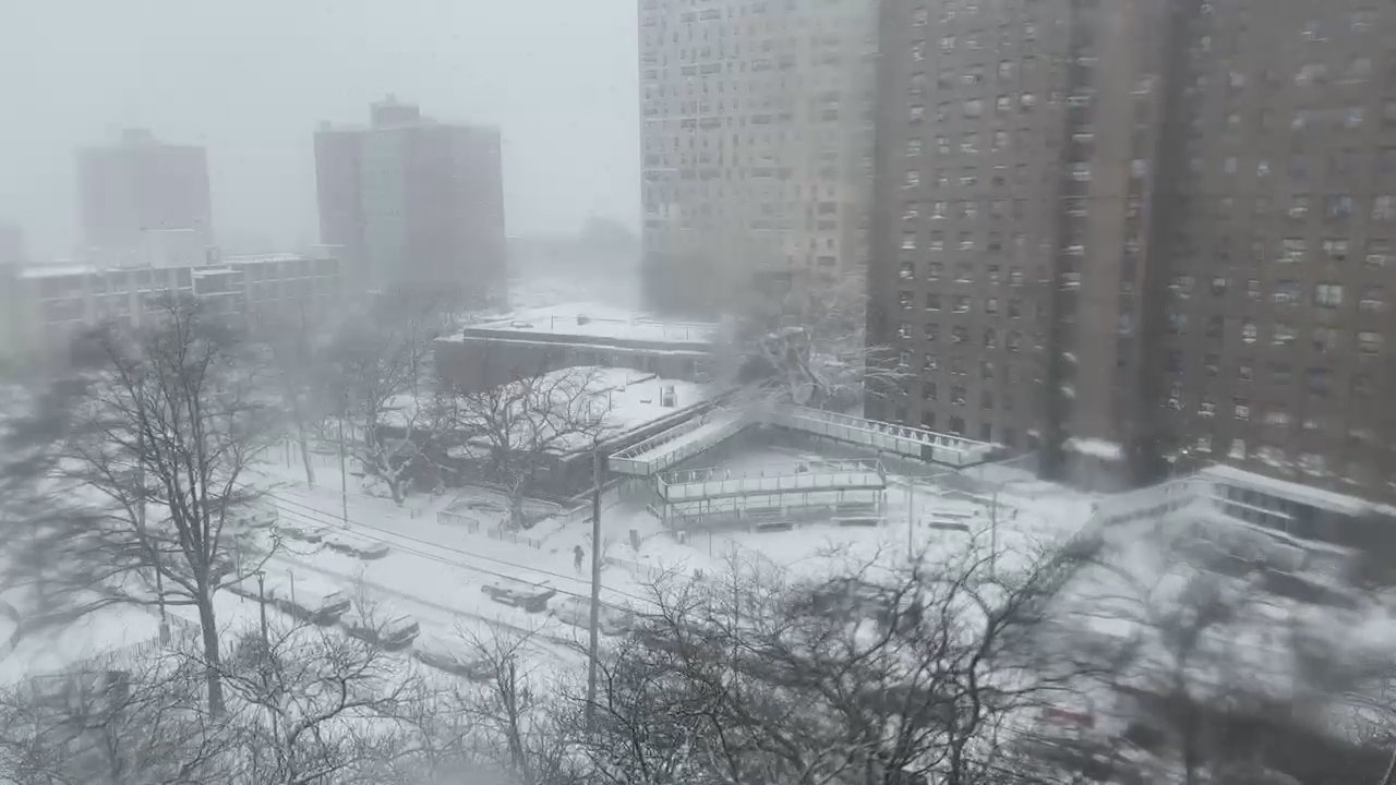 Video 113