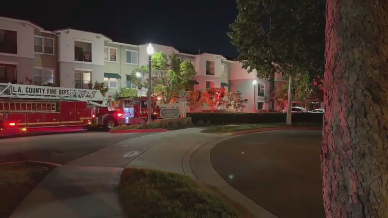 Video 3