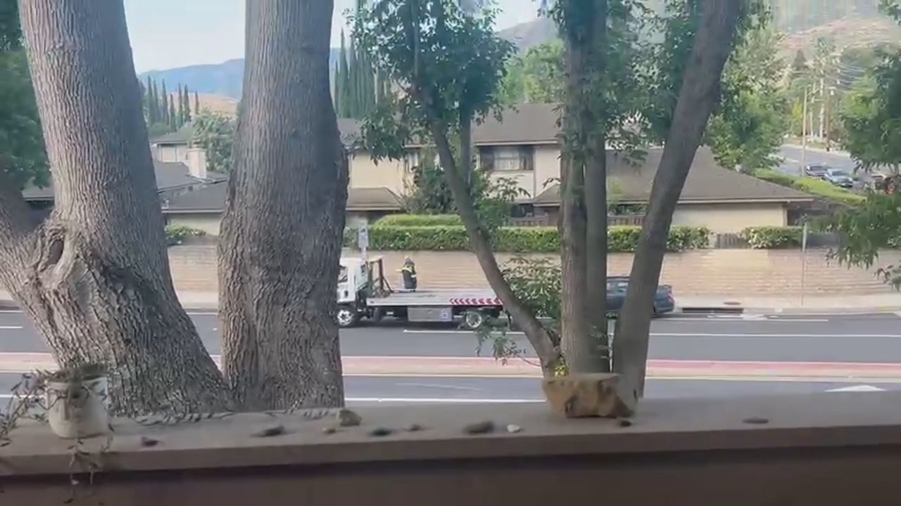 Video 1