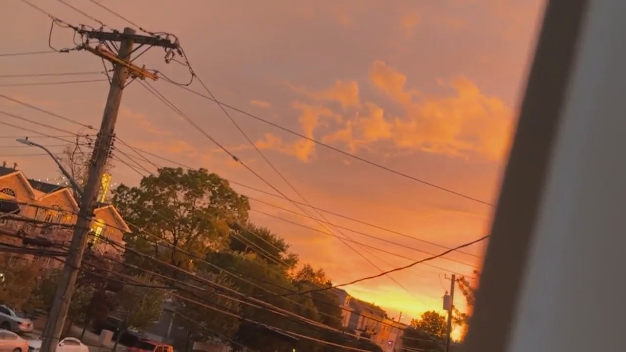 Video 130