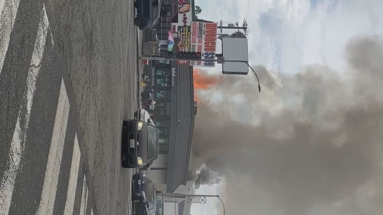 Video 61