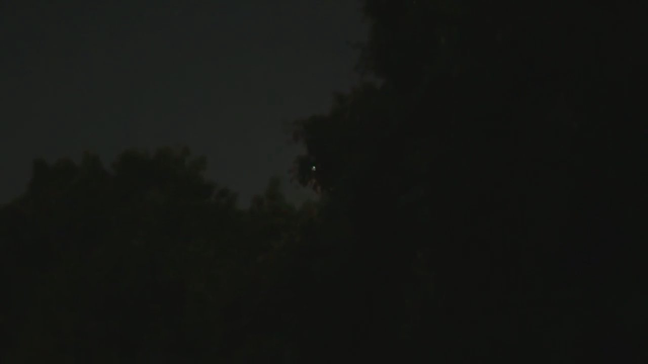 Video 6