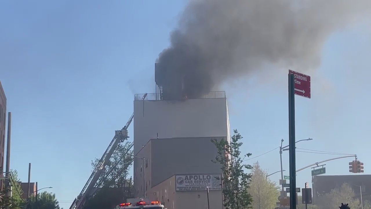 Video 8