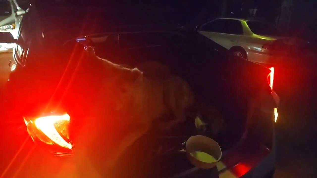 Video 10