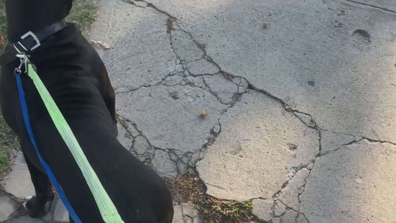 Video 3