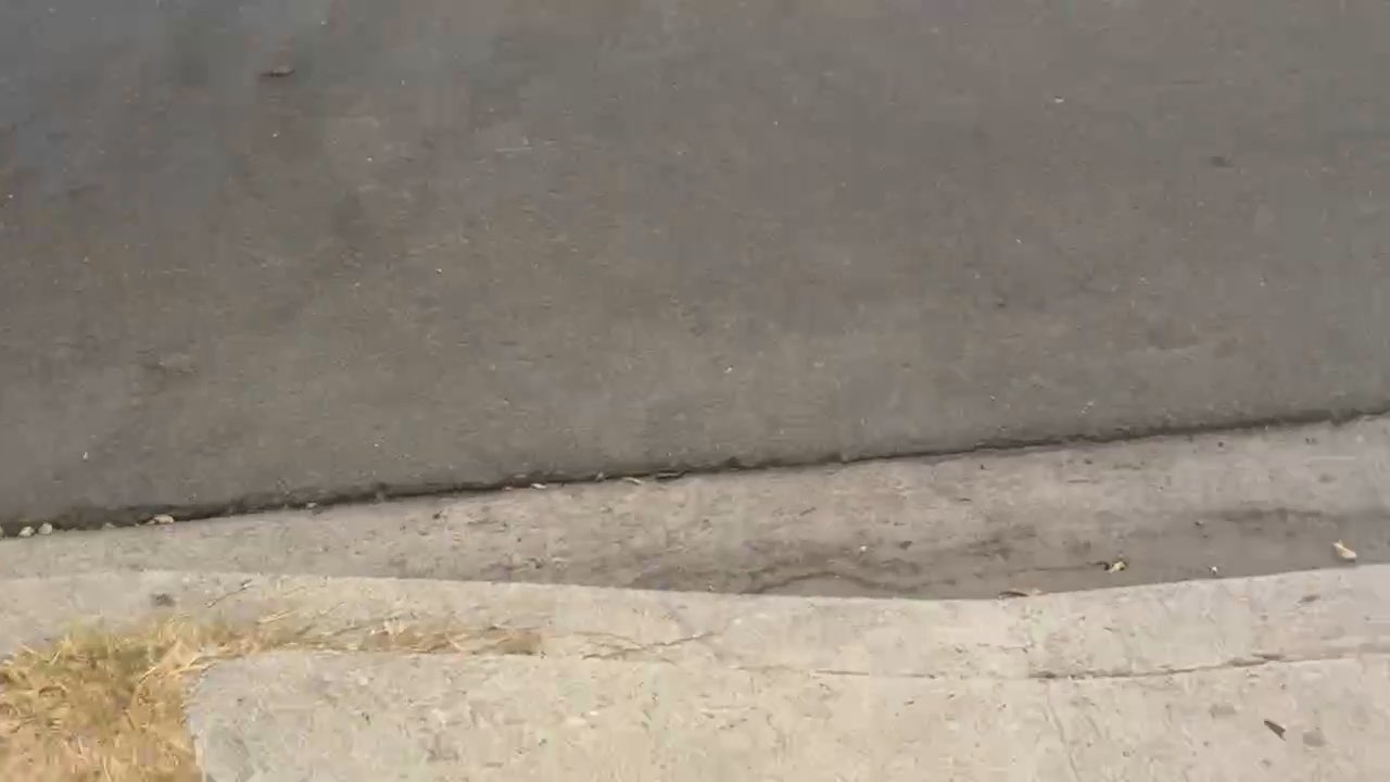 Video 2
