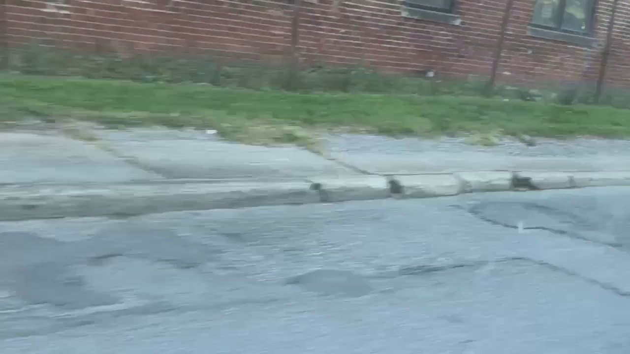 Video 3