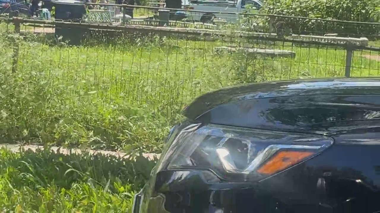 Video 5