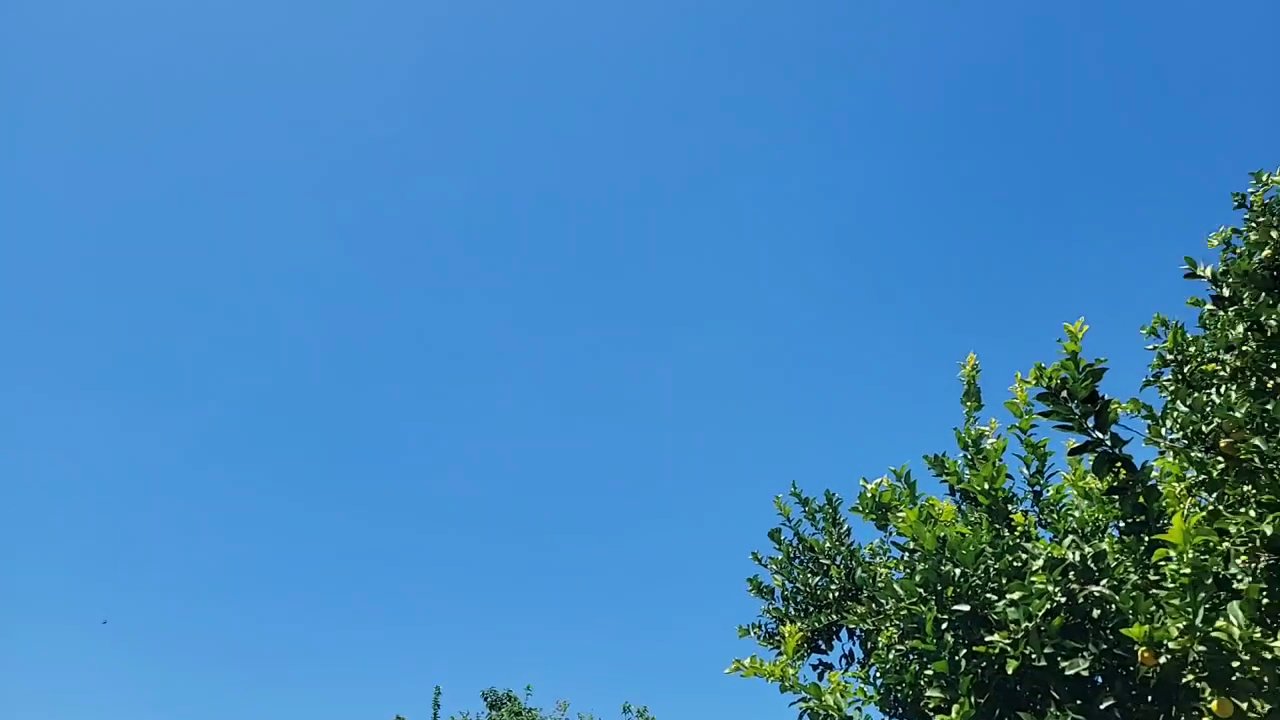 Video 17