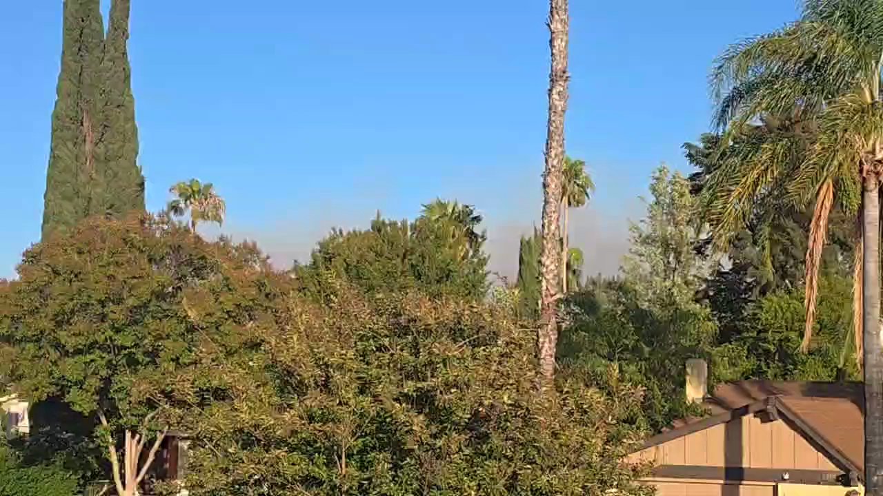 Video 75