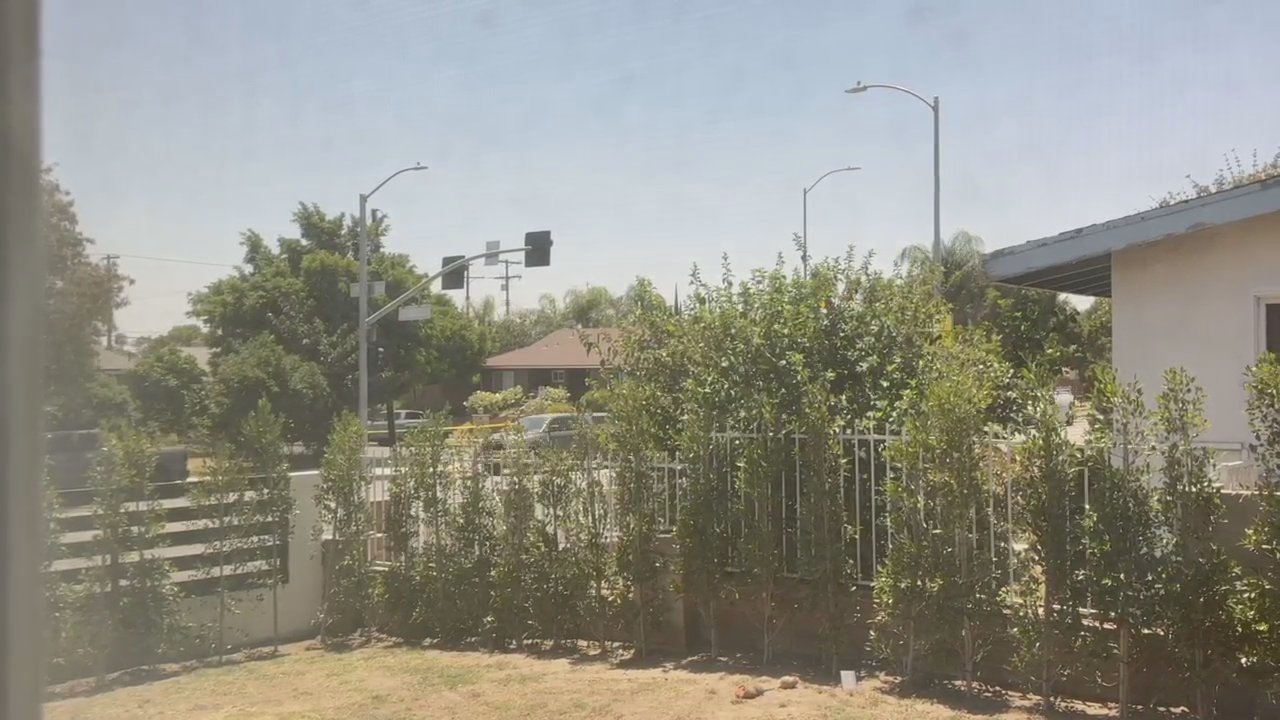 Video 4